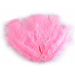 Pene decorative de curcă, lungime 11-17 cm (pachet 20 buc.) - roz baby
