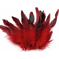 Pene decorative de găină, lungime 6-20 cm (pachet 20 buc.) - roșu închis