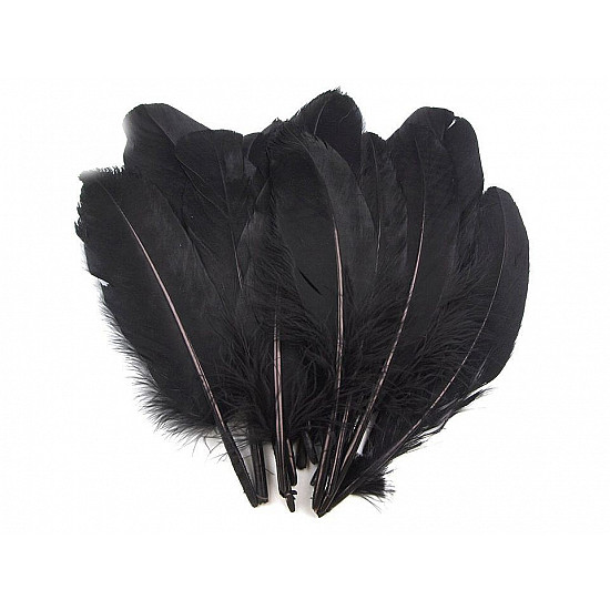 Pene decorative de gâscă, lungime 15-21 cm (pachet 5 buc.) - negru