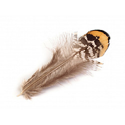 Pene decorative fazan, lungime 4.5-8.5 cm (pachet 10 buc.) - natural