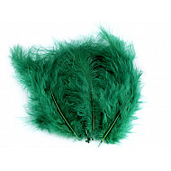 Pene decorative de struț, lungime 9-16 cm - verde